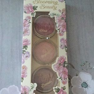 Blush Makeup Blush Bronzer Cheek Blush Cheek Bronzer